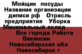 Мойщик  посуды › Название организации ­ диписи.рф › Отрасль предприятия ­ Уборка › Минимальный оклад ­ 20 000 - Все города Работа » Вакансии   . Новосибирская обл.,Новосибирск г.